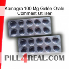 Kamagra 100 Mg Gelée Orale Comment Utiliser 31